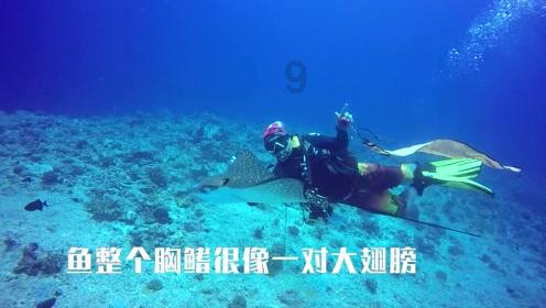 过年少不了的小丸子！软糯Q弹有嚼劲儿，全家人尝过都猛夸
